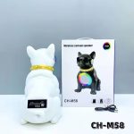 اسپیکر بلوتوثی قابل حمل مدل CH-M58