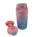 قمقمه ایون مدل NICE AM-63 گنجایش 0.550 لیتر