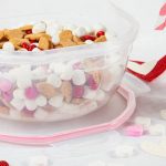 ظرف نگهدارنده ویرو پلاستیک مدل 304