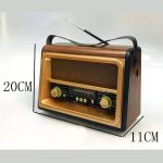 رادیو گولون مدل RX-BT89