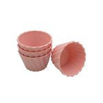 قالب دسر مدل باگر