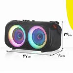 اسپیکر بلوتوثی قابل حمل پی زد ایکس مدل NDR-Q68 به همراه میکروفون